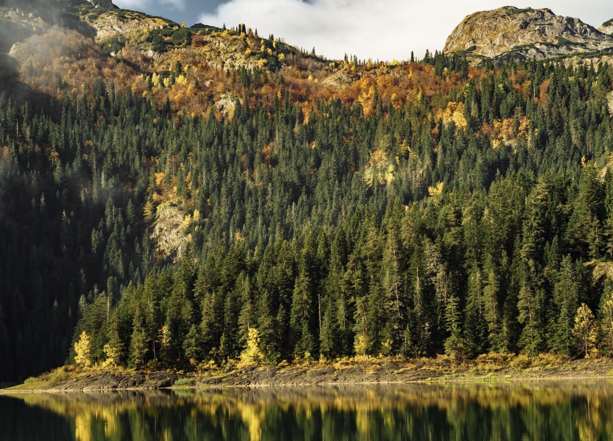 Evergreen forest and autumn ridgeline reflected in a mountain lake